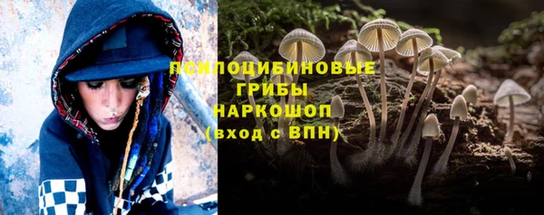 бутират Арсеньев